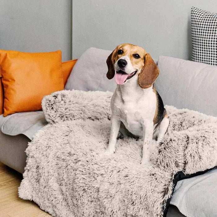 Dog Couch Bed