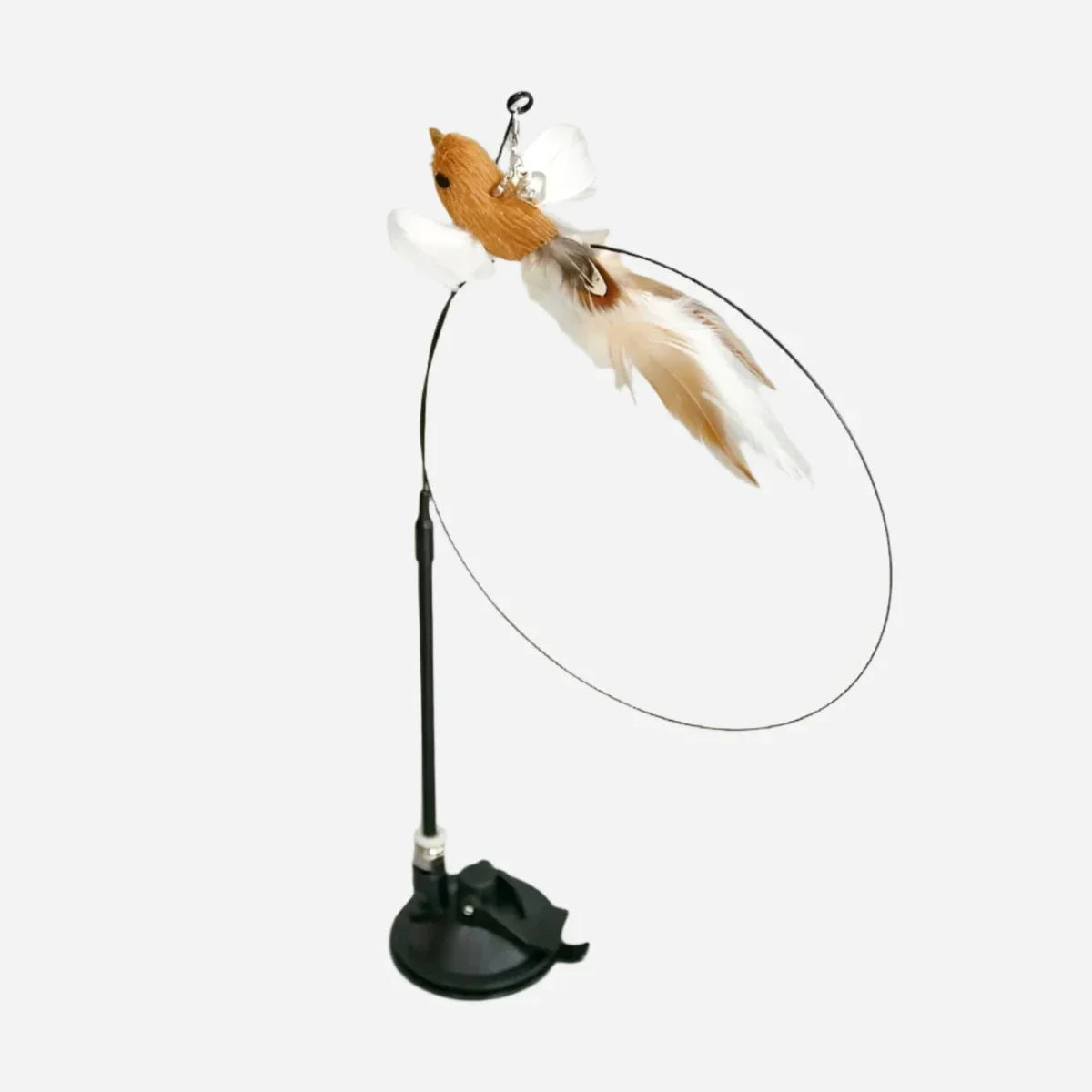 Interactive Bird Cat Toy