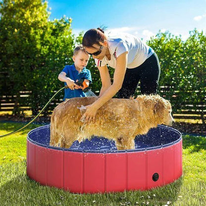 Dog Paddling Pool