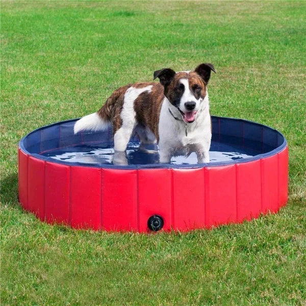 Dog Paddling Pool