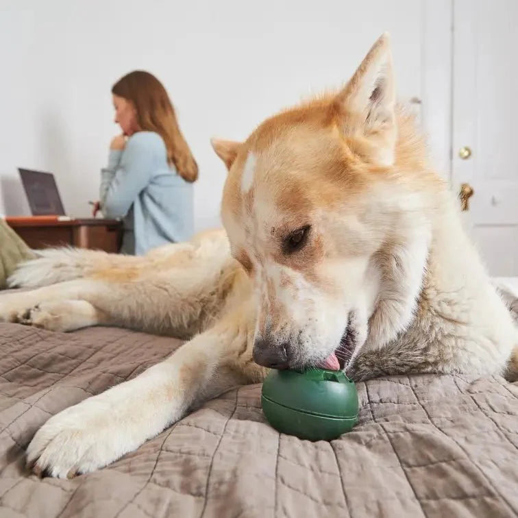 Freezable Dog Toy