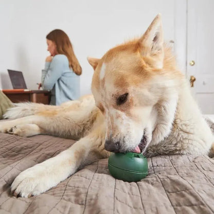 Freezable Dog Toy