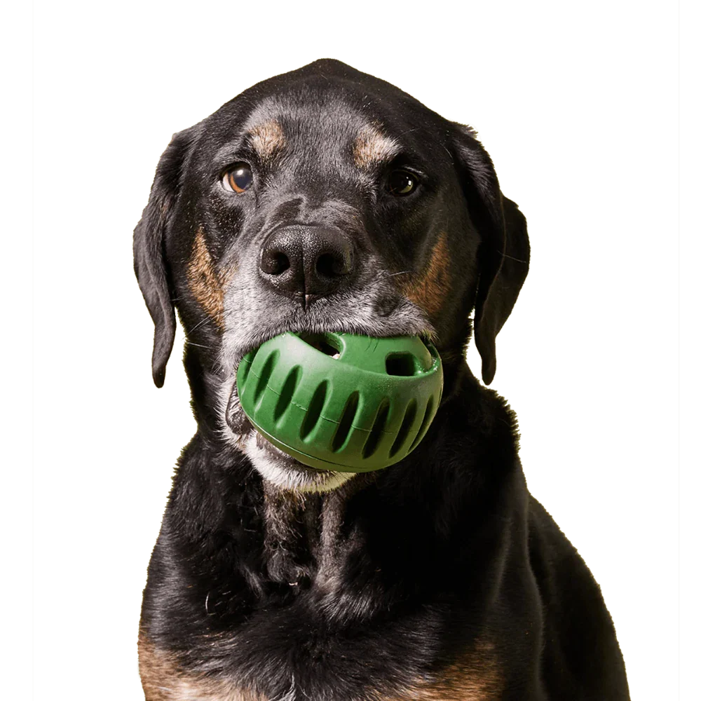 Freezable Dog Toy