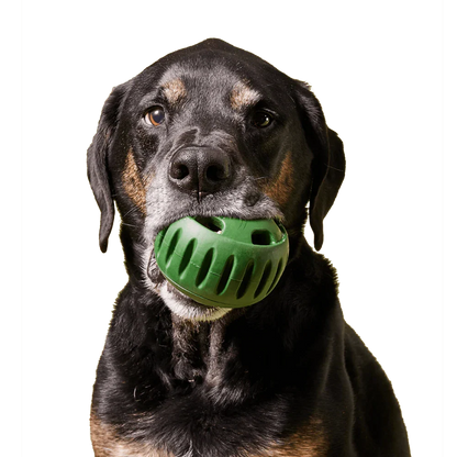 Freezable Dog Toy