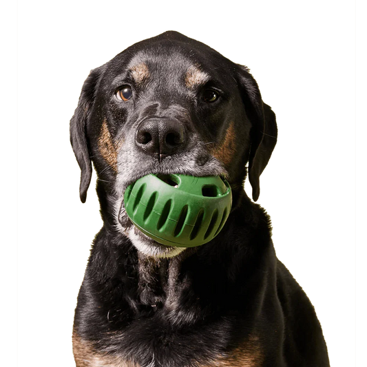Freezable Dog Toy
