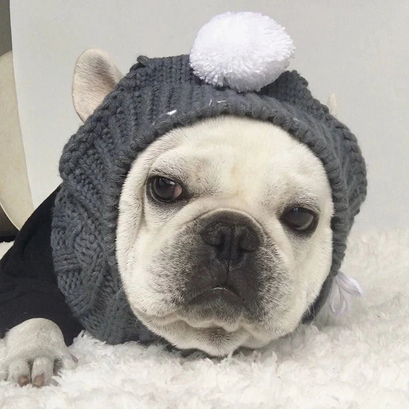 French Bulldog Hat with Ears