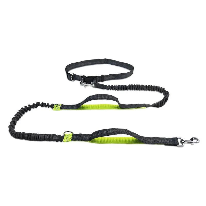 Hands Free Dog Leash for Running