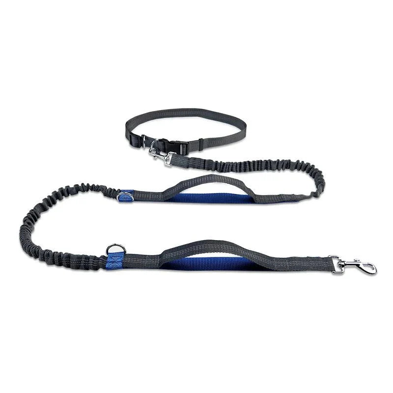 Hands Free Dog Leash for Running