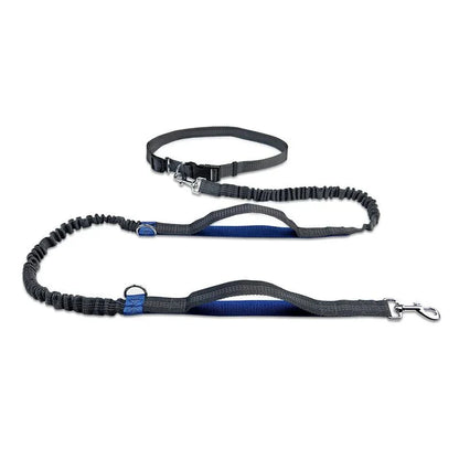 Hands Free Dog Leash for Running