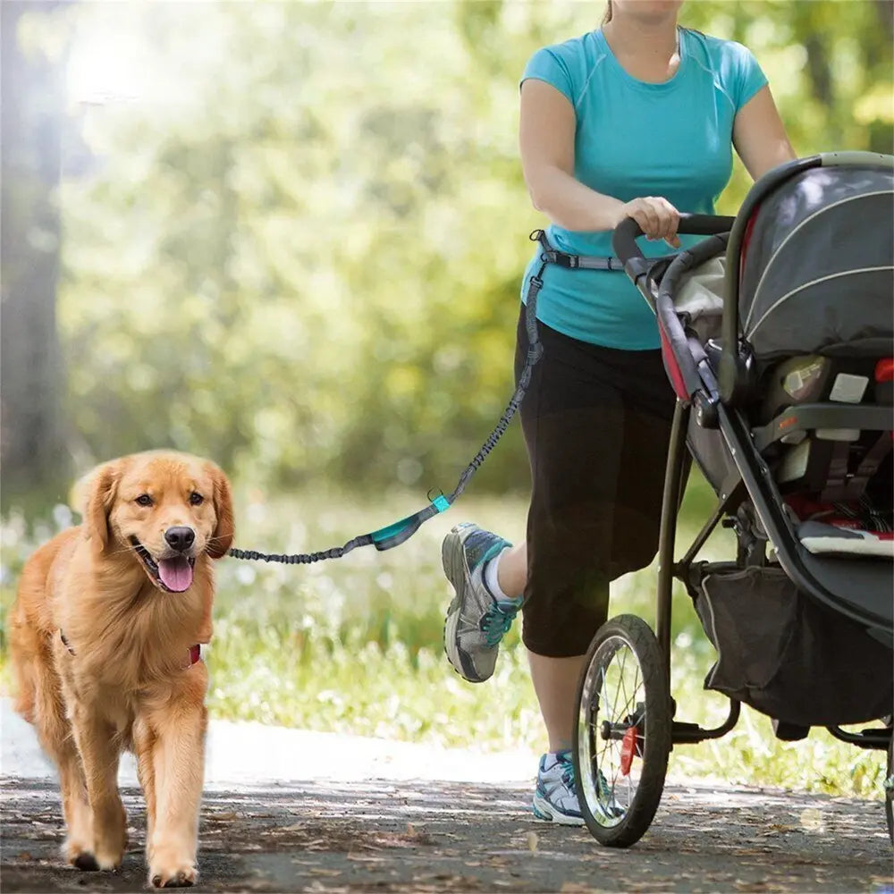 Hands Free Dog Leash for Running