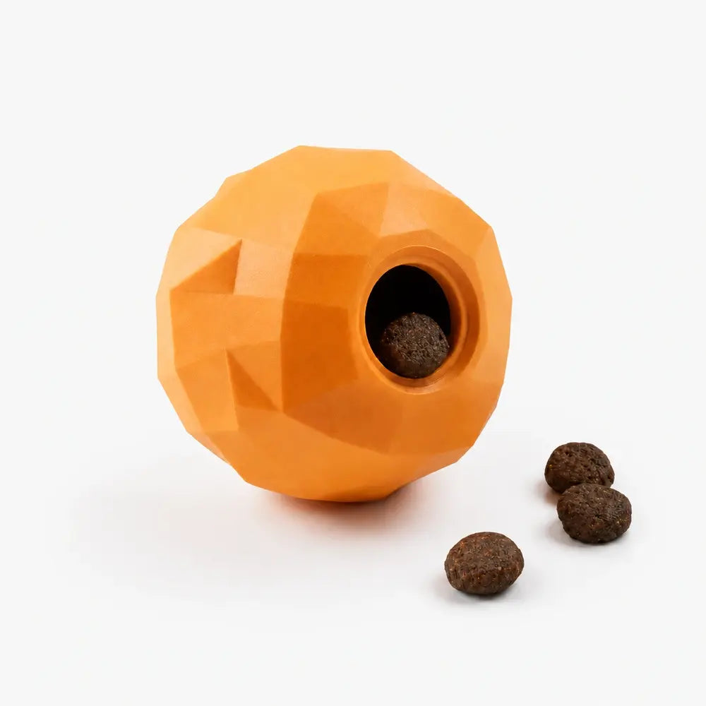 Dog Hide Treat Toy