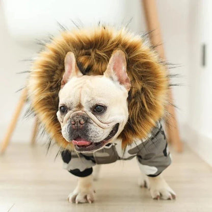 Dog Winter Jacket