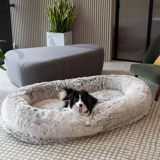 Human Dog Bed