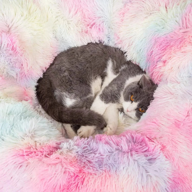 Cat Tunnel Bed