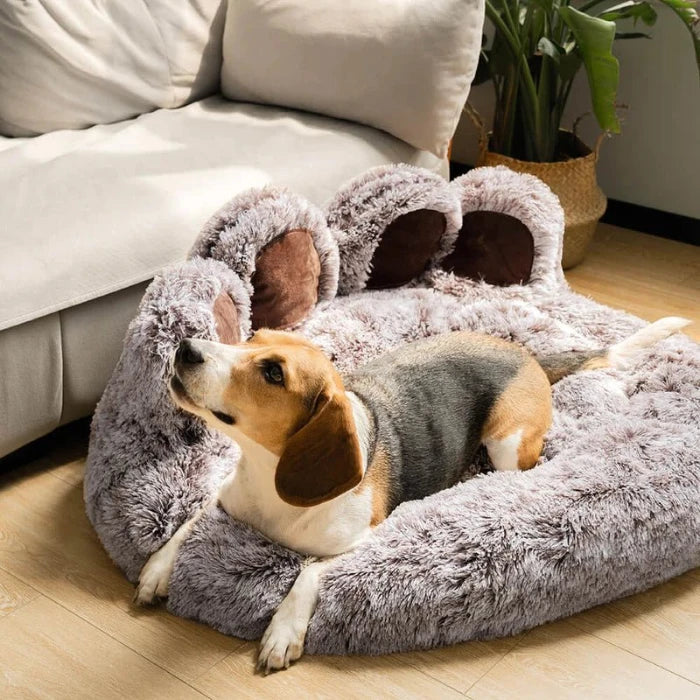 Paws Dog Bed