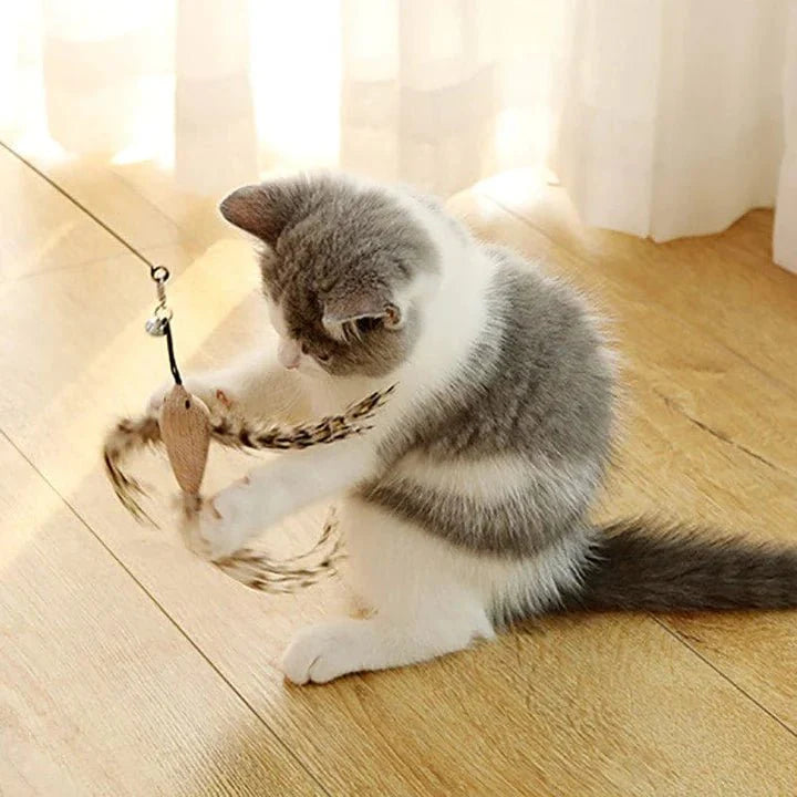 Interactive Bird Cat Toy