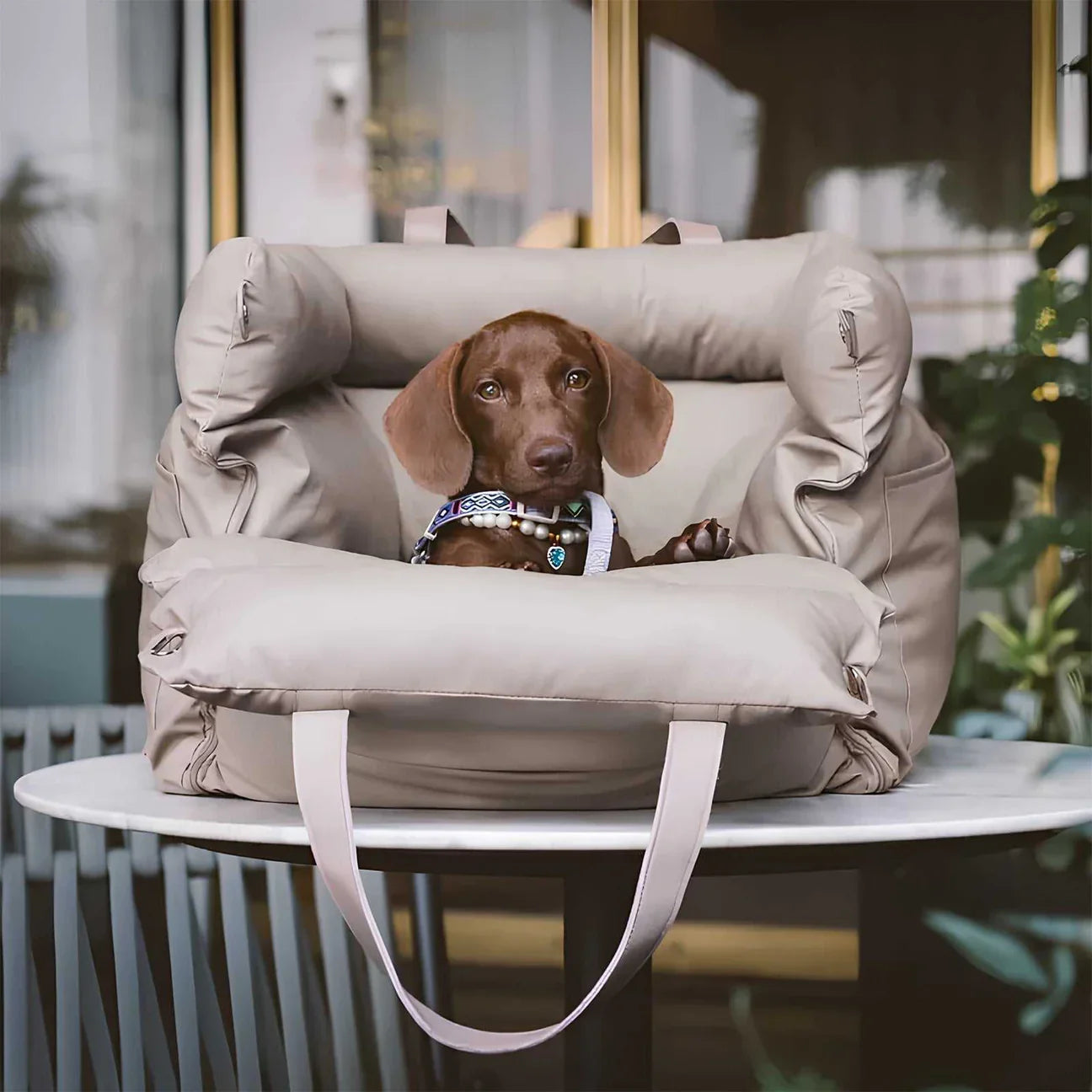 Luxury Dog Car Bed