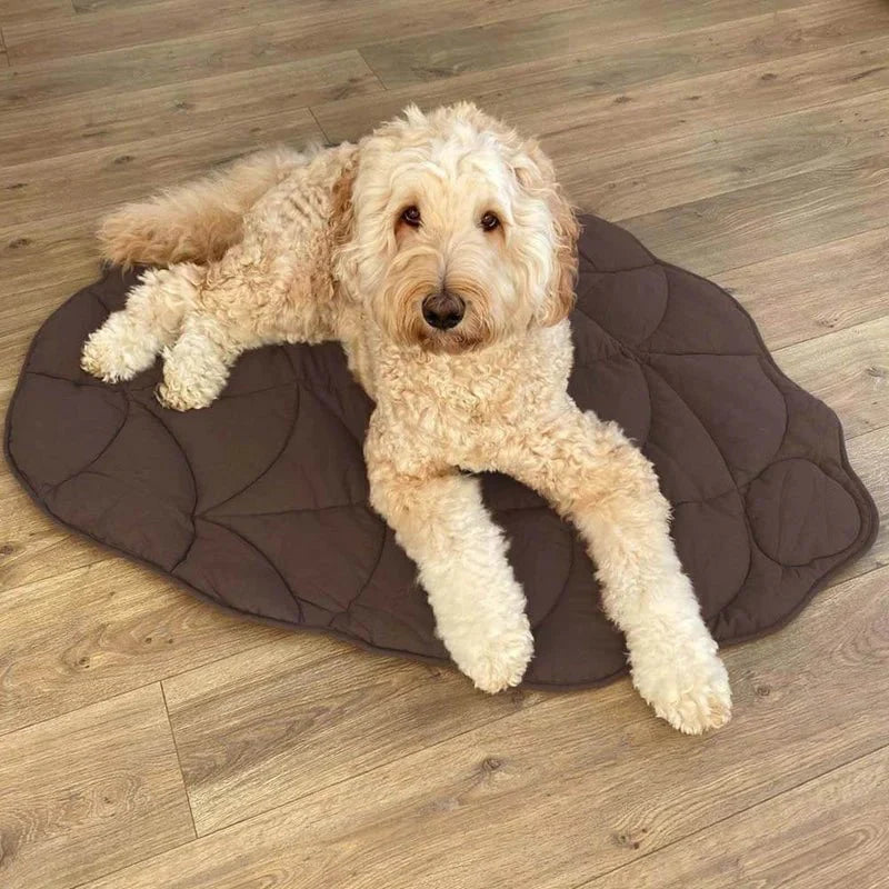 Dog Floor Mat