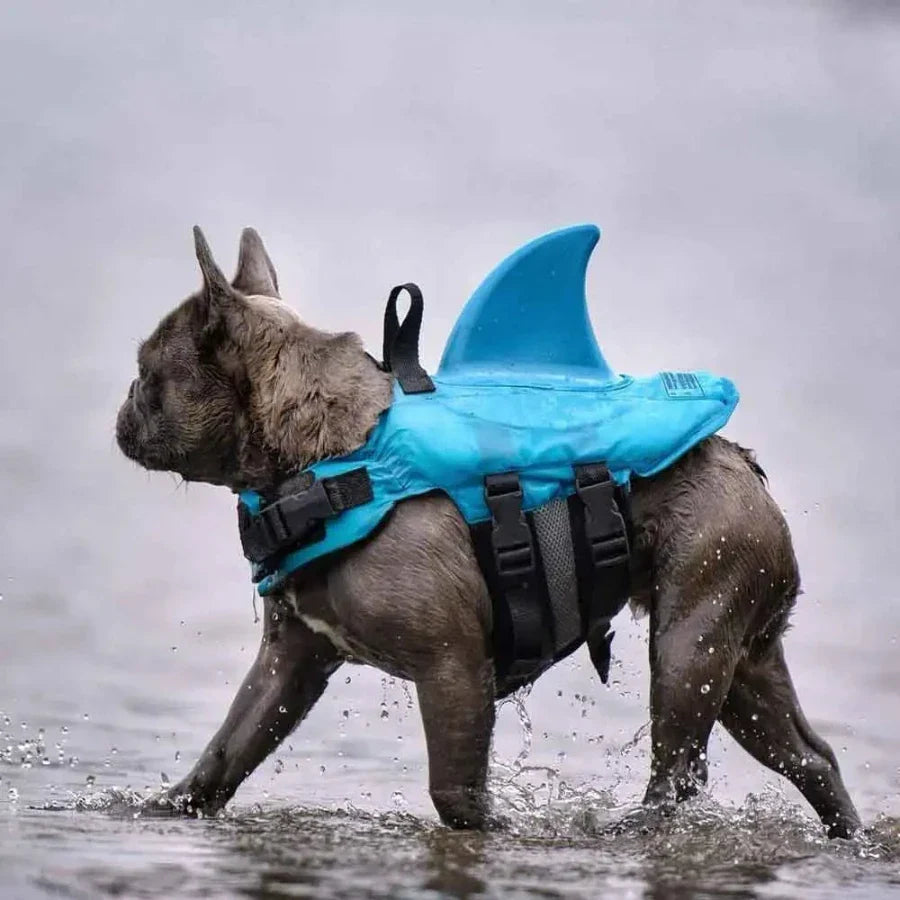 Dog Shark Life Jacket