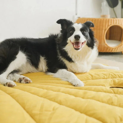 Dog Floor Mat
