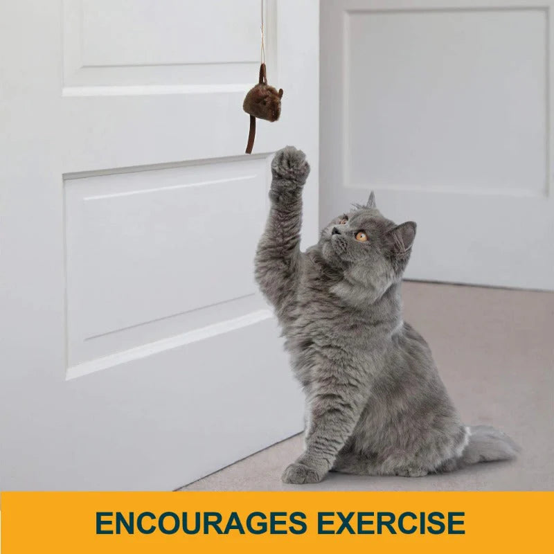 Realistic Mouse Cat Toy Set 2 Pieces