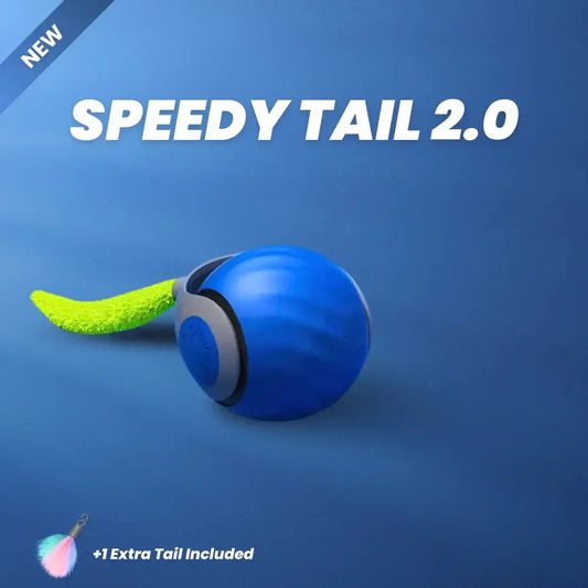 Interactive Rechargeable Cat Toy Ball