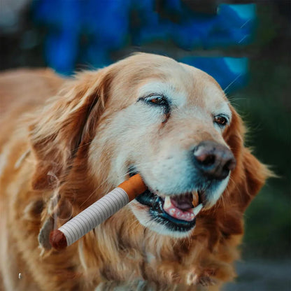 Cigarette Dog Toy