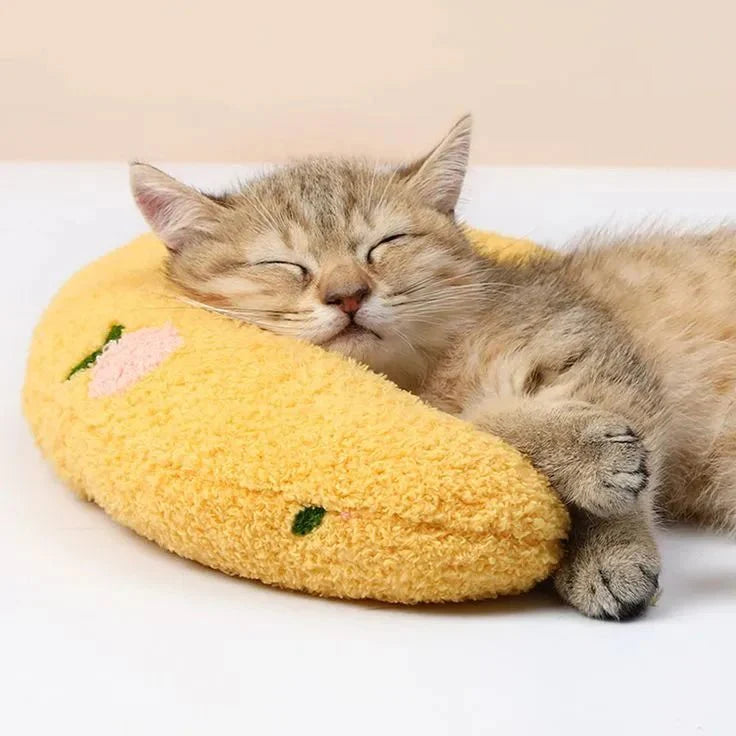 Dog & Cat Pillow