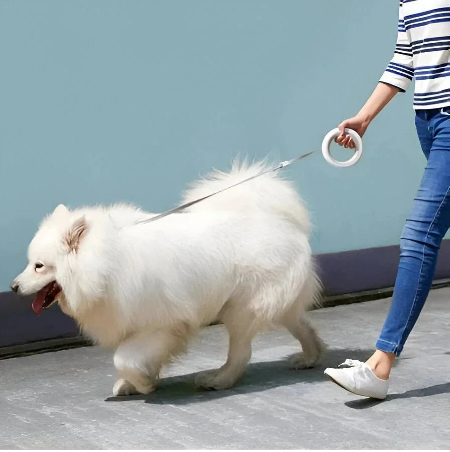 Moestar Dog Leash
