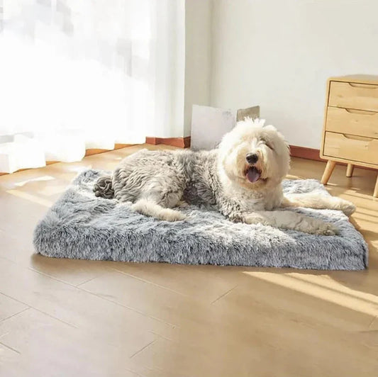 Fluffy Dog Orthopedic Mattress