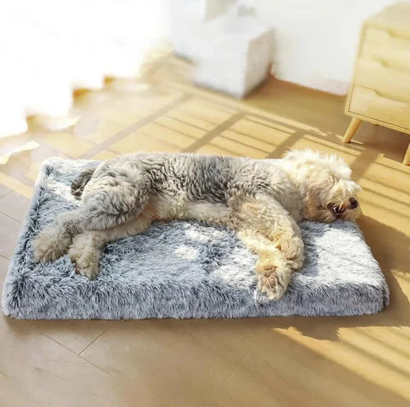 Fluffy Dog Orthopedic Mattress