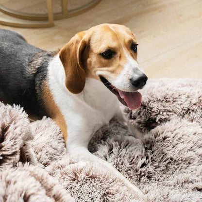 Paws Dog Bed