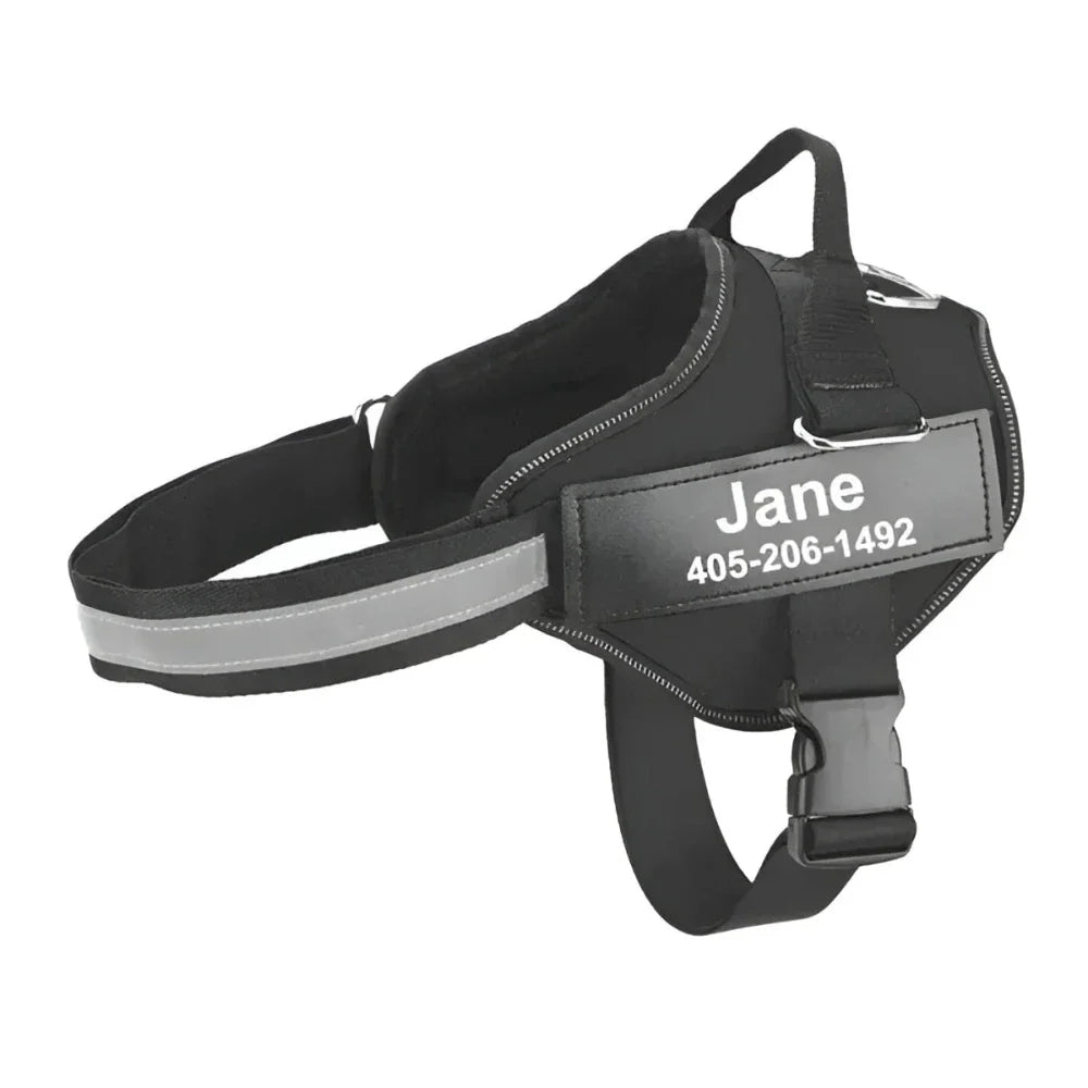 Personalized Dog Harness