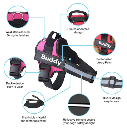Personalized Dog Harness