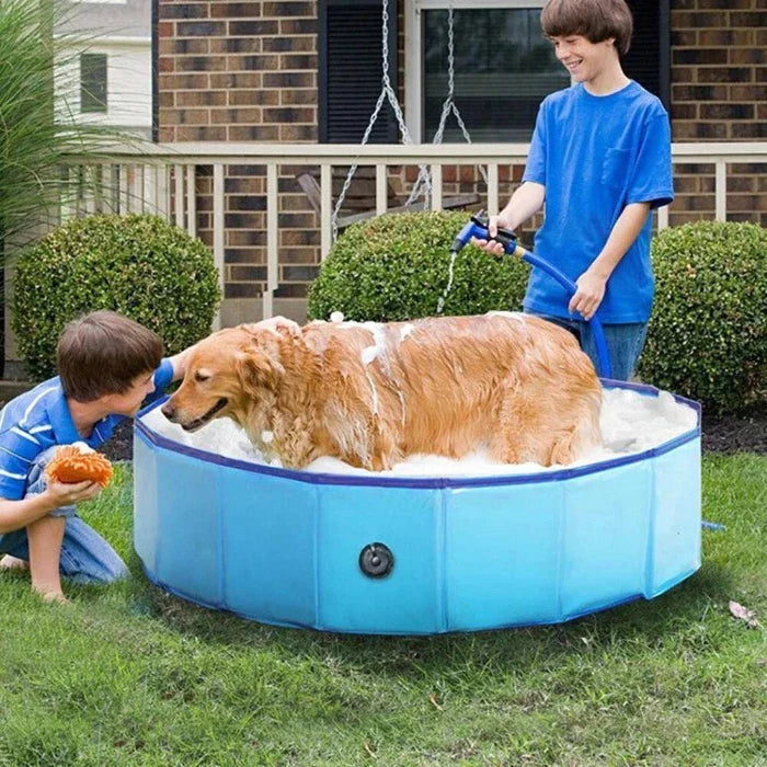 Dog Paddling Pool