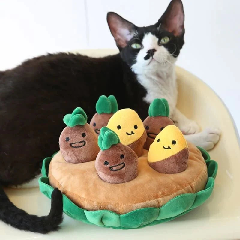 Potato Dog Toy