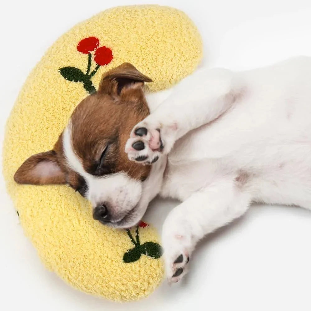 Dog & Cat Pillow