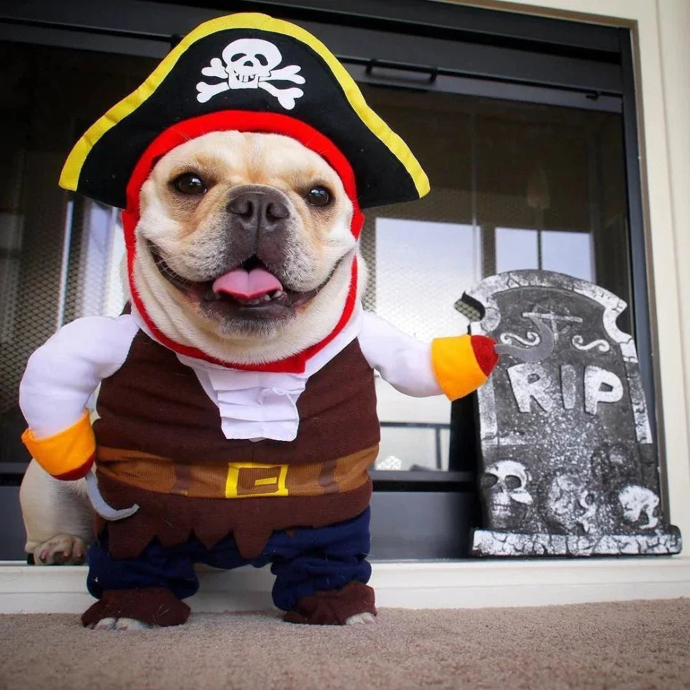 Pirate Dog & Cat Costume