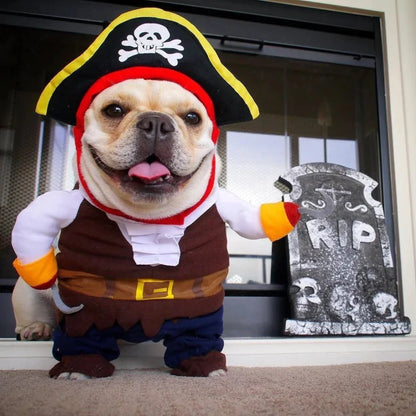 Pirate Dog & Cat Costume