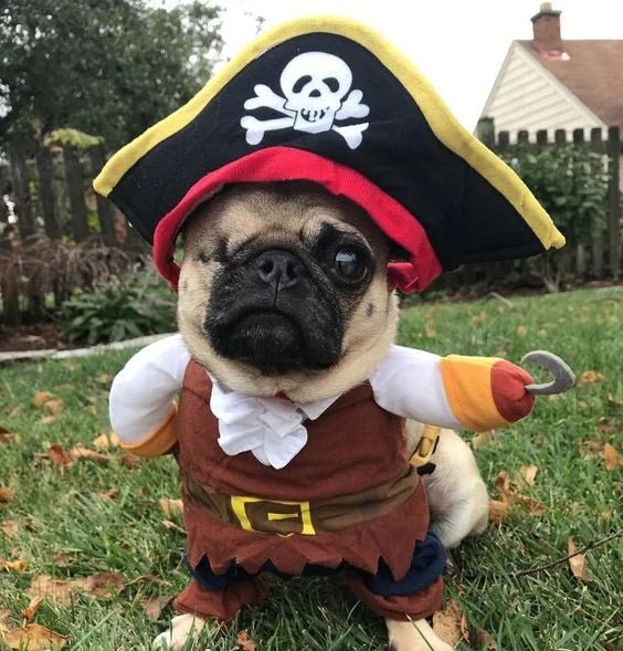 Pirate Dog & Cat Costume