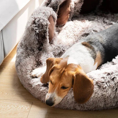 Paws Dog Bed