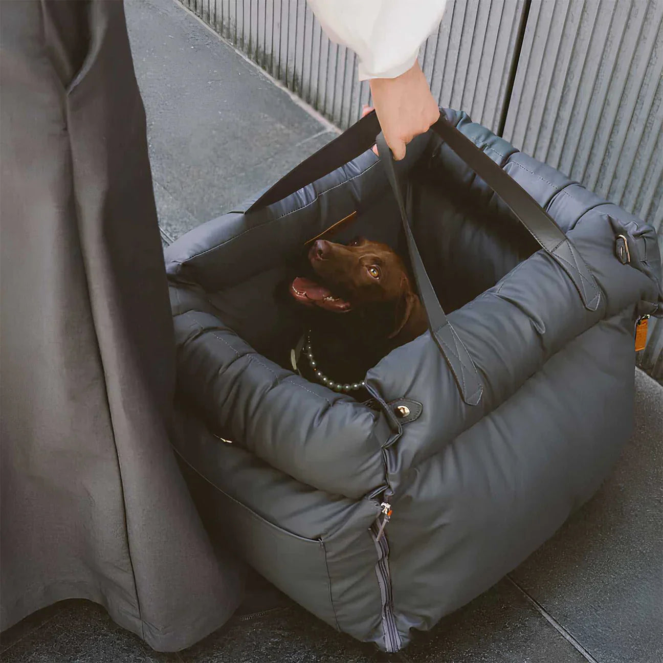 Luxury Dog Car Bed