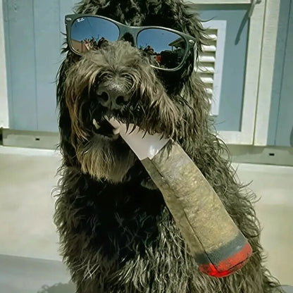Raw Joint Dog Toy