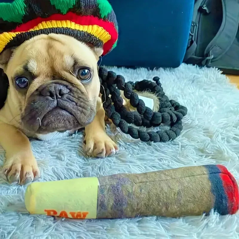Raw Joint Dog Toy