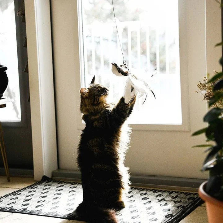 Interactive Bird Cat Toy