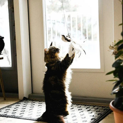 Interactive Bird Cat Toy