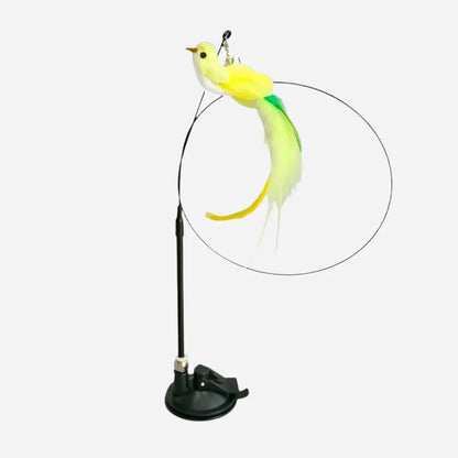 Interactive Bird Cat Toy