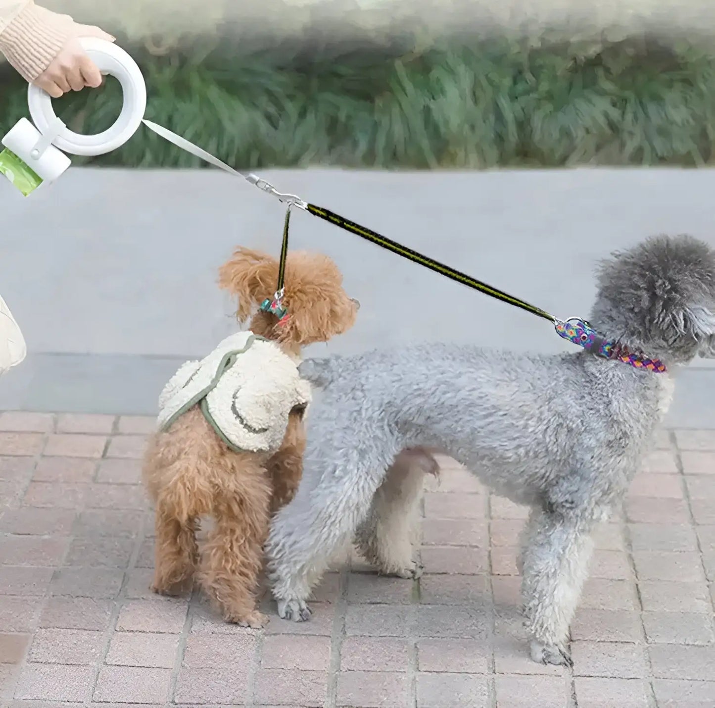 Moestar Dog Leash