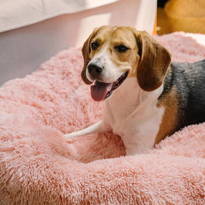 Round Dog Bed