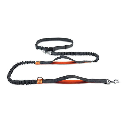 Hands Free Dog Leash for Running